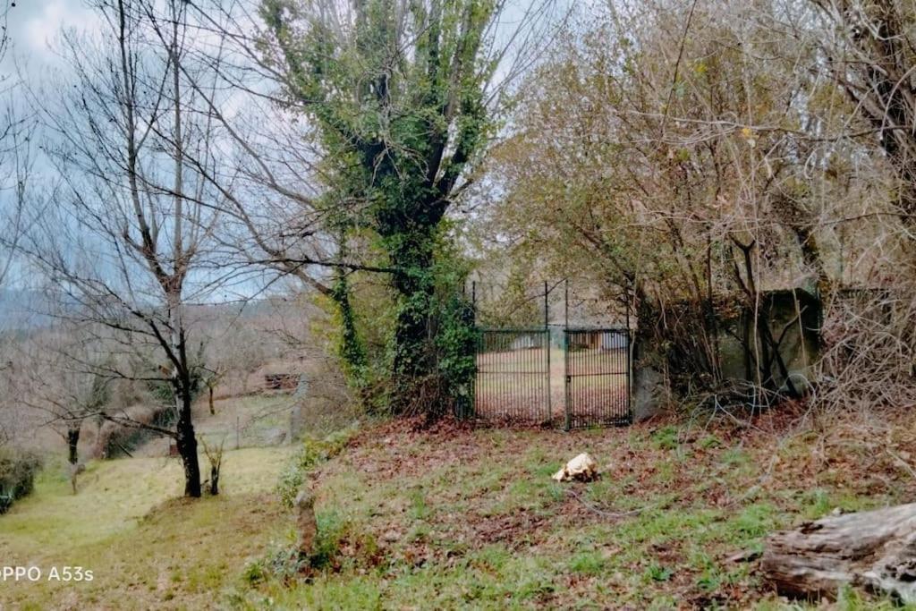 Confort, Fun And Leisure In Douro Rural Space Sande  Esterno foto