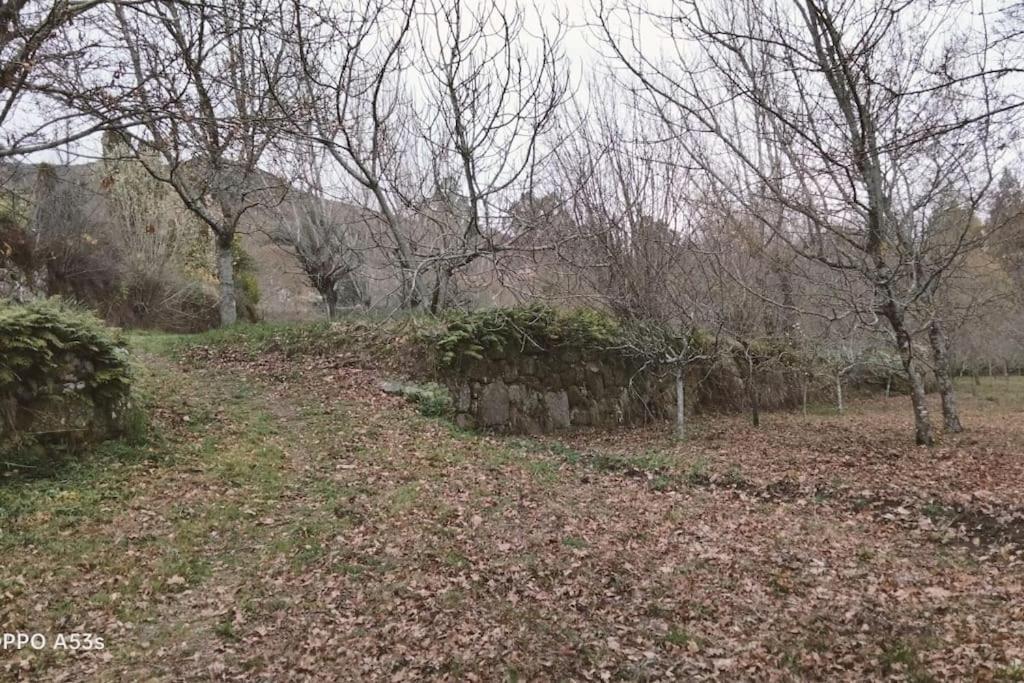Confort, Fun And Leisure In Douro Rural Space Sande  Esterno foto