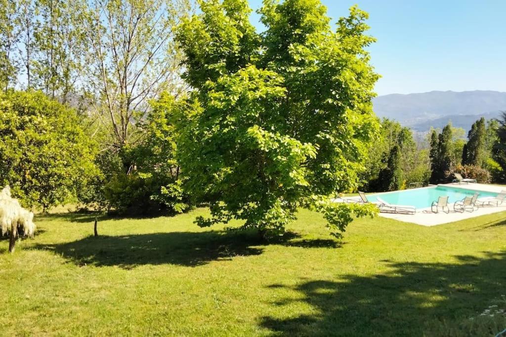 Confort, Fun And Leisure In Douro Rural Space Sande  Esterno foto