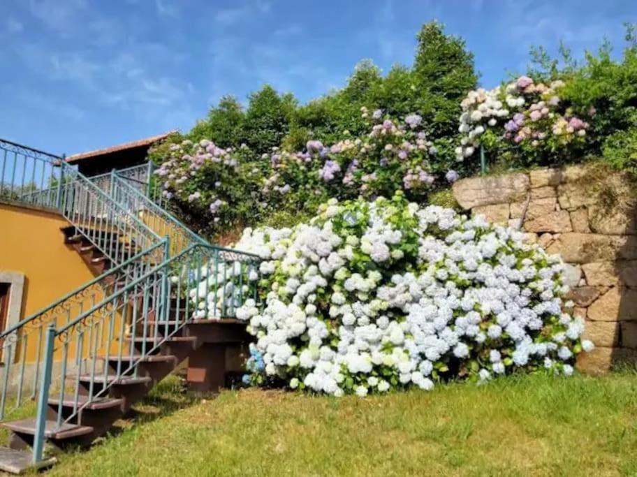 Confort, Fun And Leisure In Douro Rural Space Sande  Esterno foto